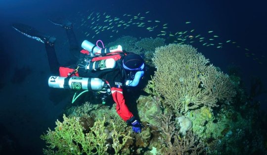 Technical Diving in Sharm